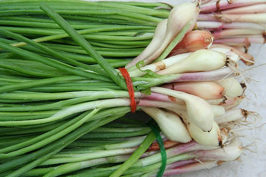 What produce is in season for April in the Midwest?