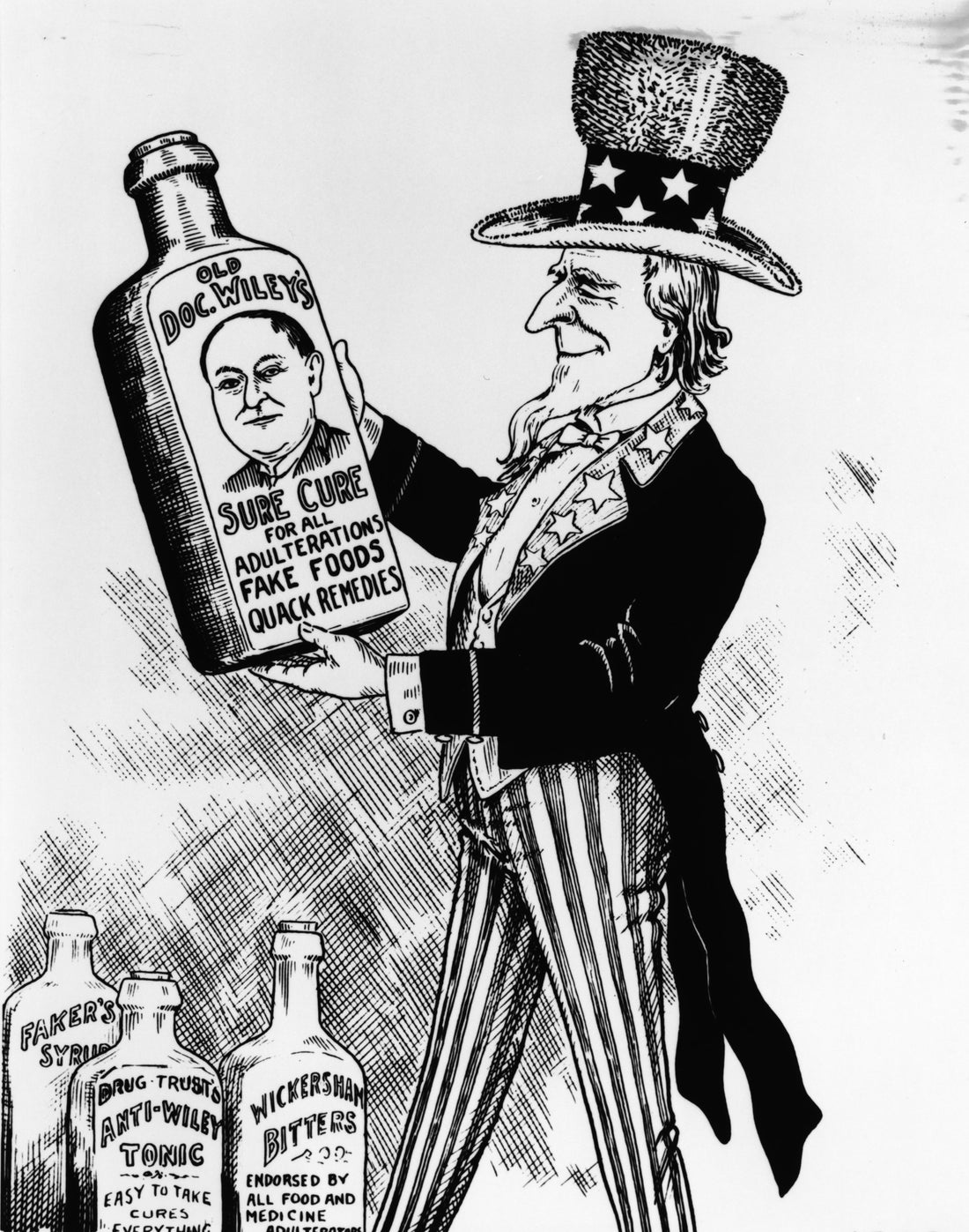 “Pure Foods” and the FDA: How Food Regulation Affects You