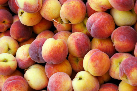 What produce is in season in July in the Midwest?