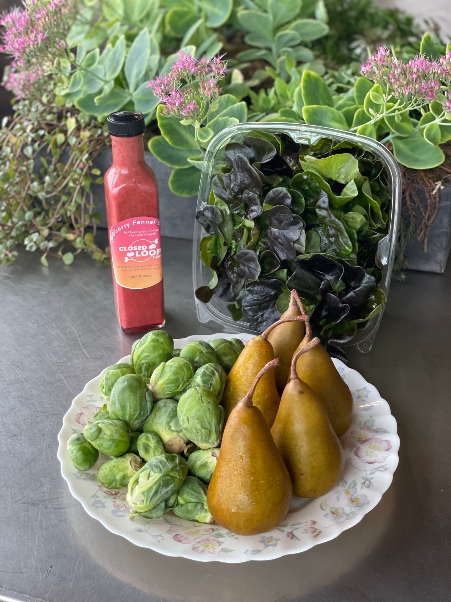 Salad Club