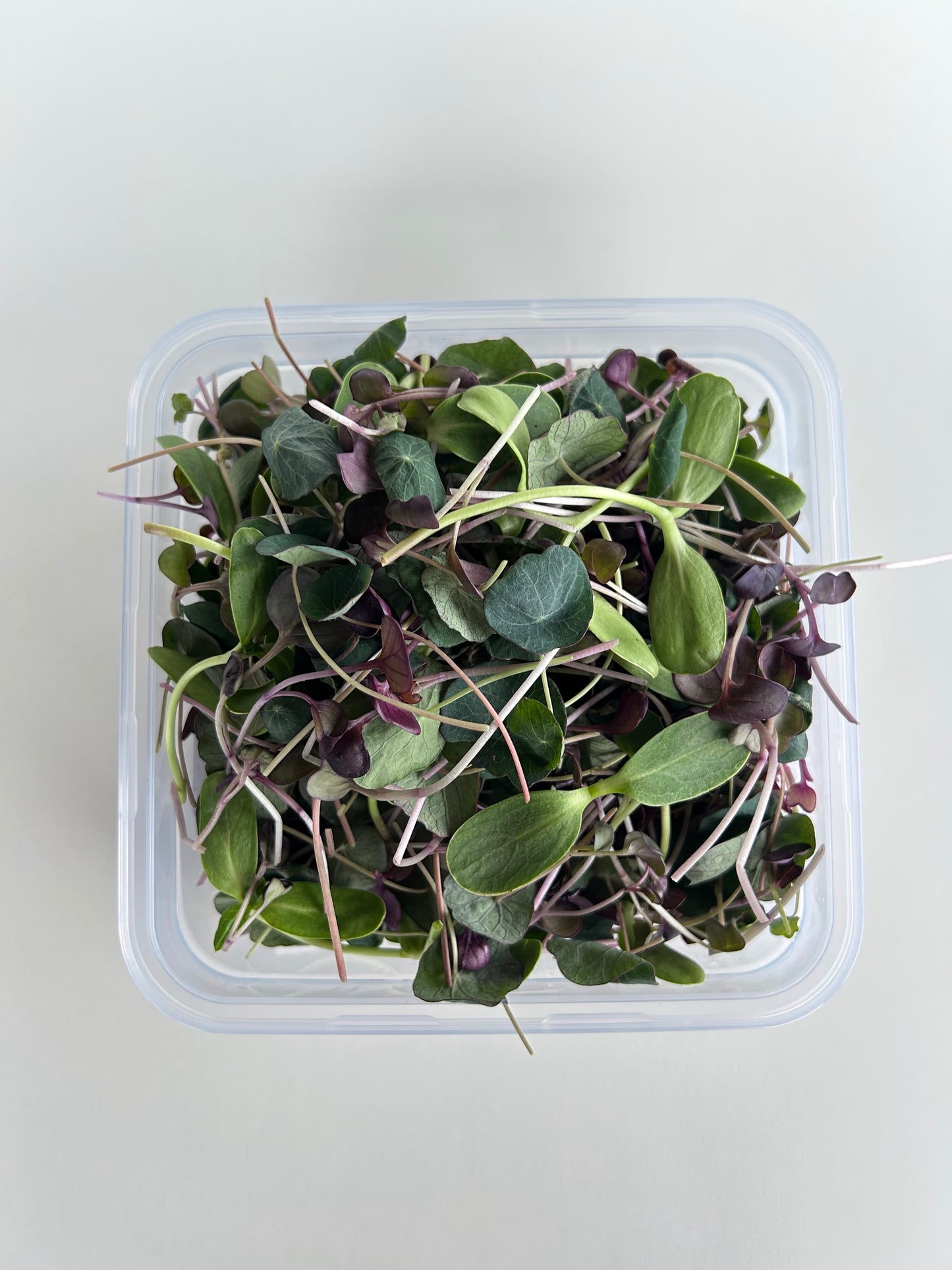 Big Leaf Mix