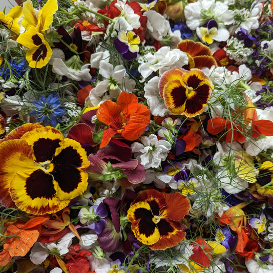 Mixed Edible Flowers