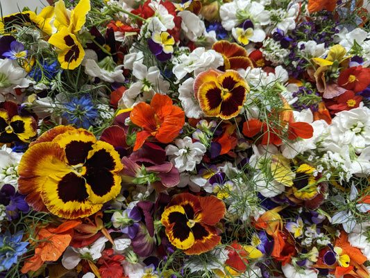 Mixed Edible Flowers