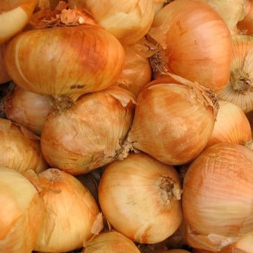 Yellow Onion