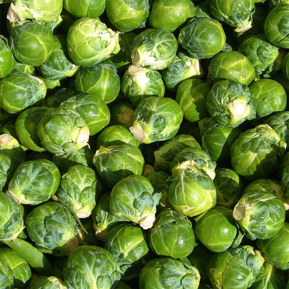 Brussels Sprouts