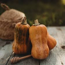 Farmer's Pick Squash