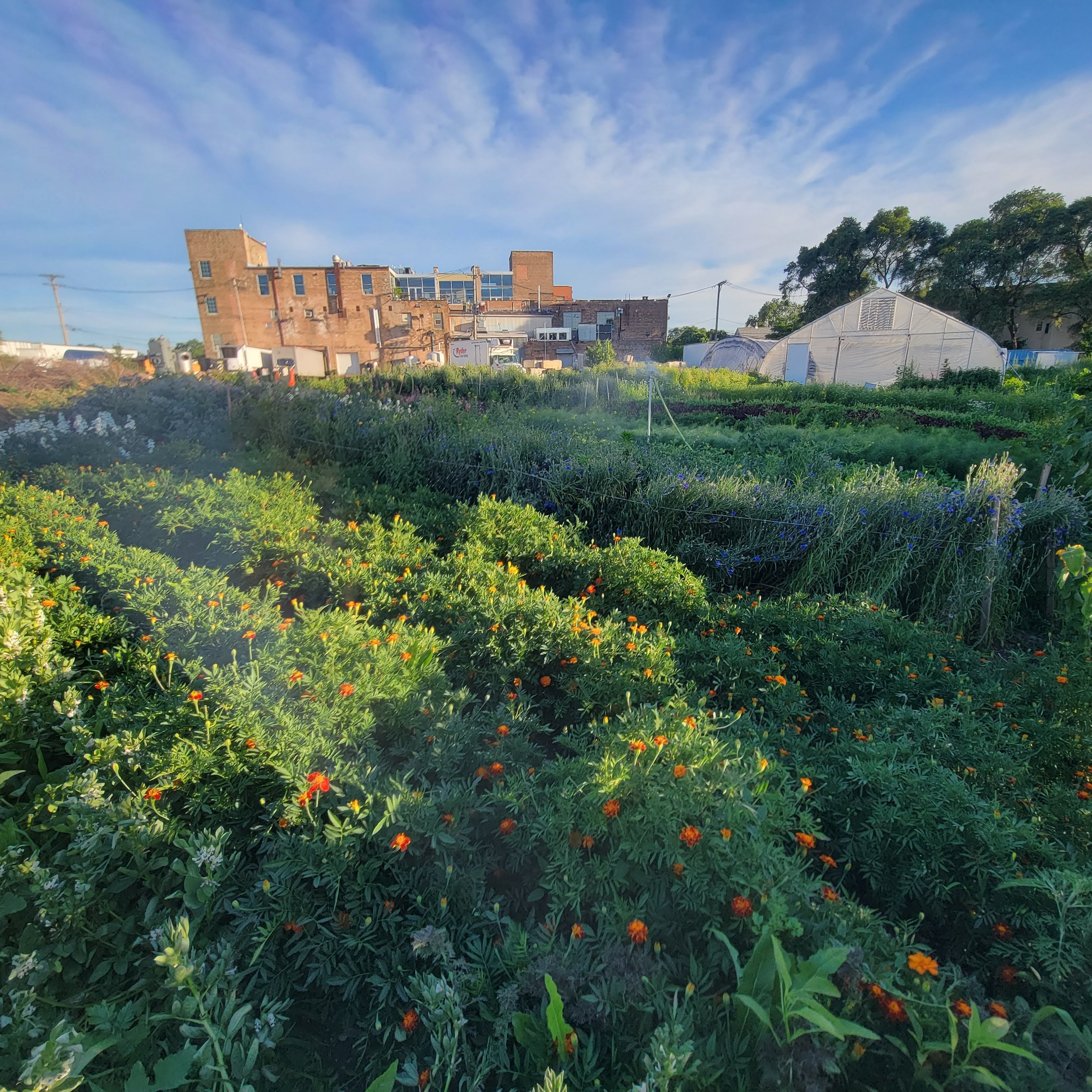 Parking a Farm – Closed Loop Farms