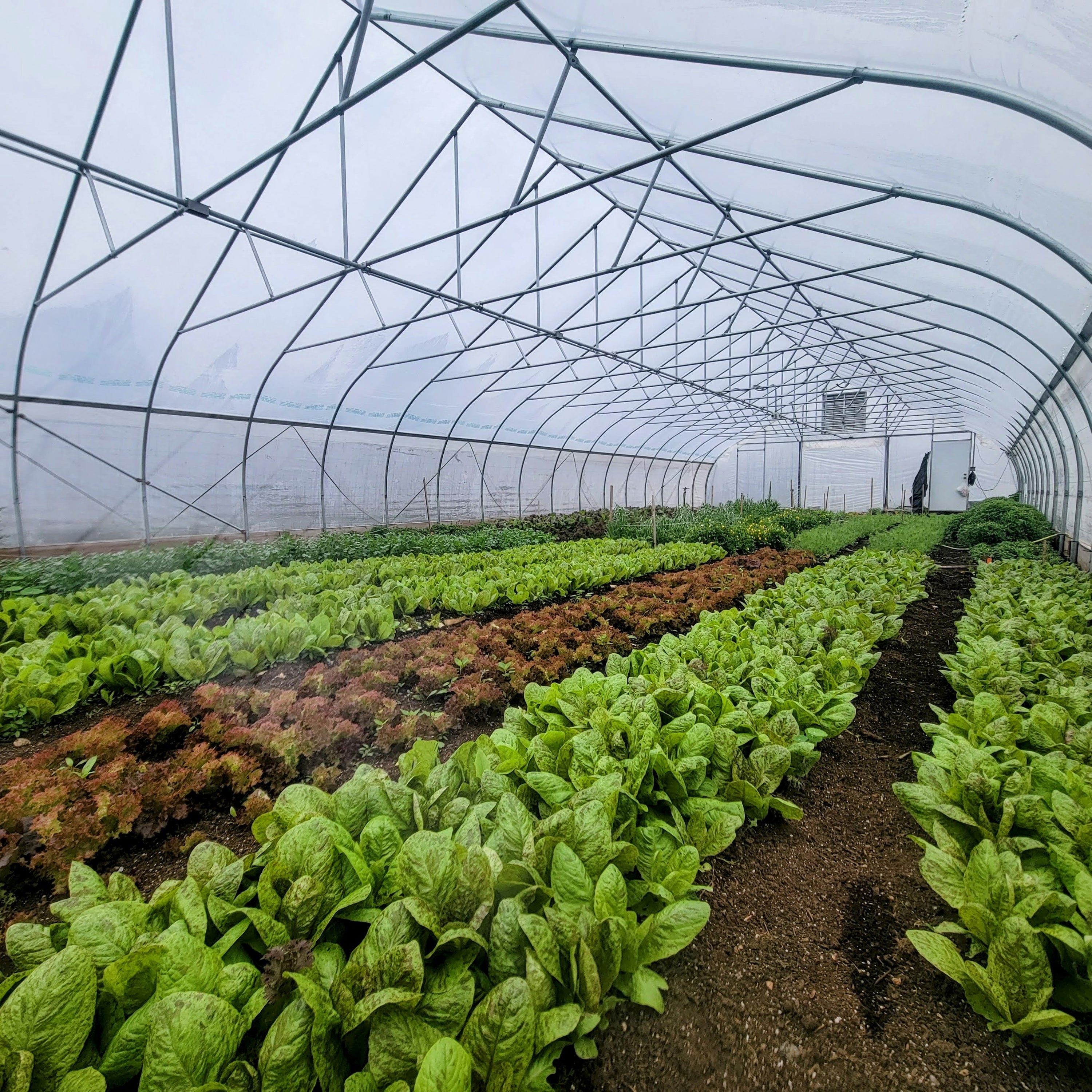 THE SHOP – Closed Loop Farms
