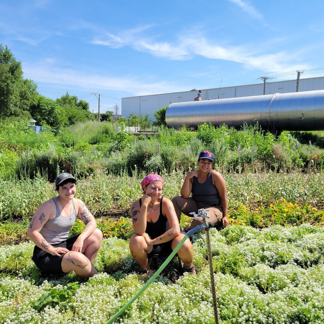 About us – Closed Loop Farms
