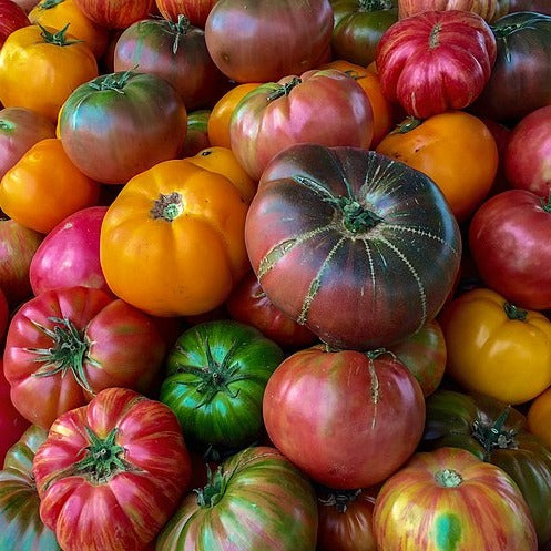 Heirloom Tomatoes