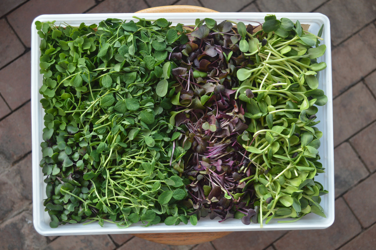 How It Works – Closed Loop Farms