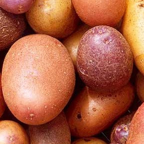 Potatoes