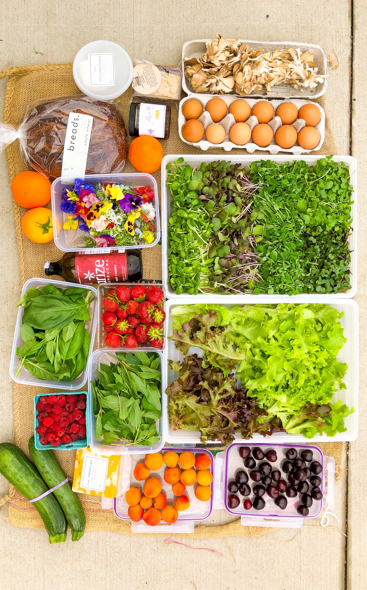 How It Works – Closed Loop Farms
