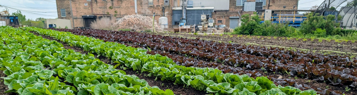 Wholesale – Closed Loop Farms