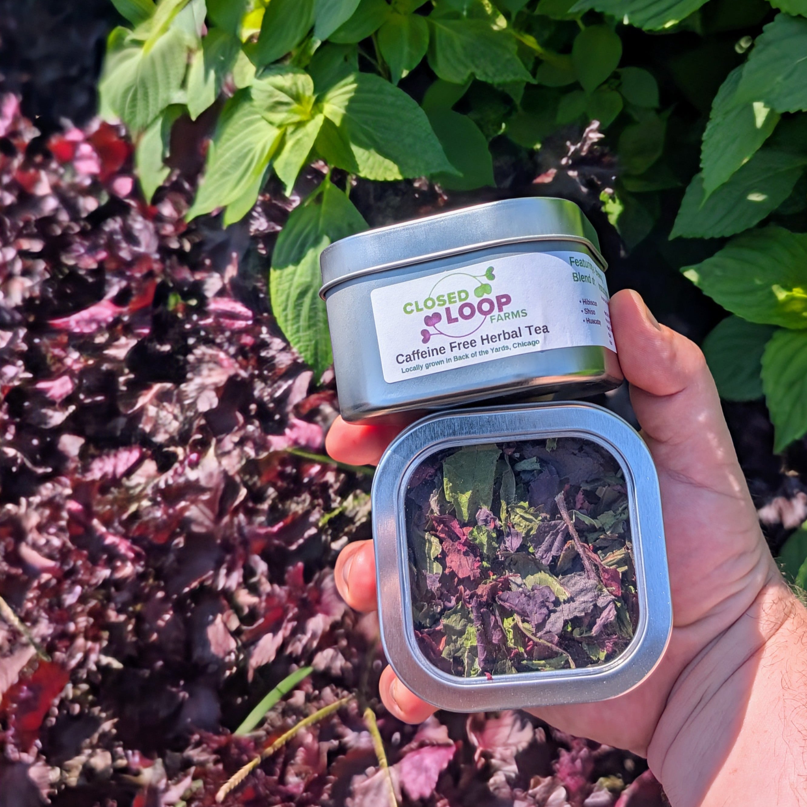 Herbal Tea – Closed Loop Farms