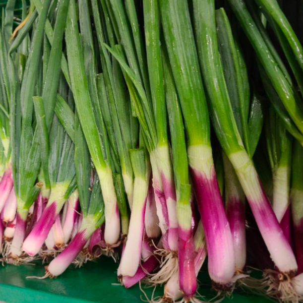Spring Onion