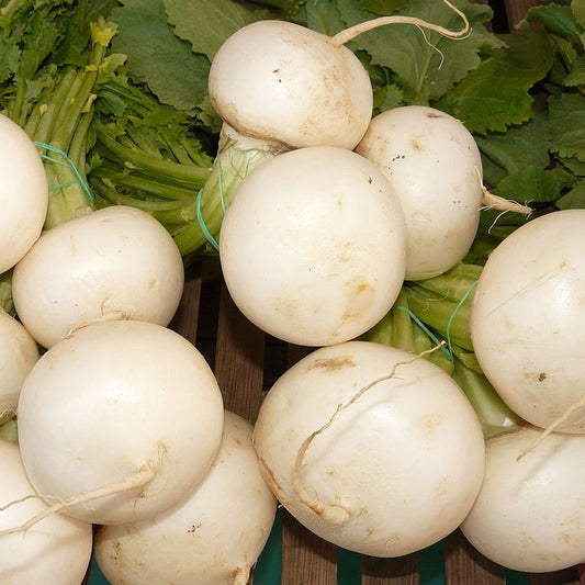Turnips
