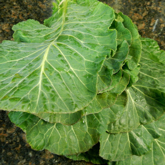 Collard Greens