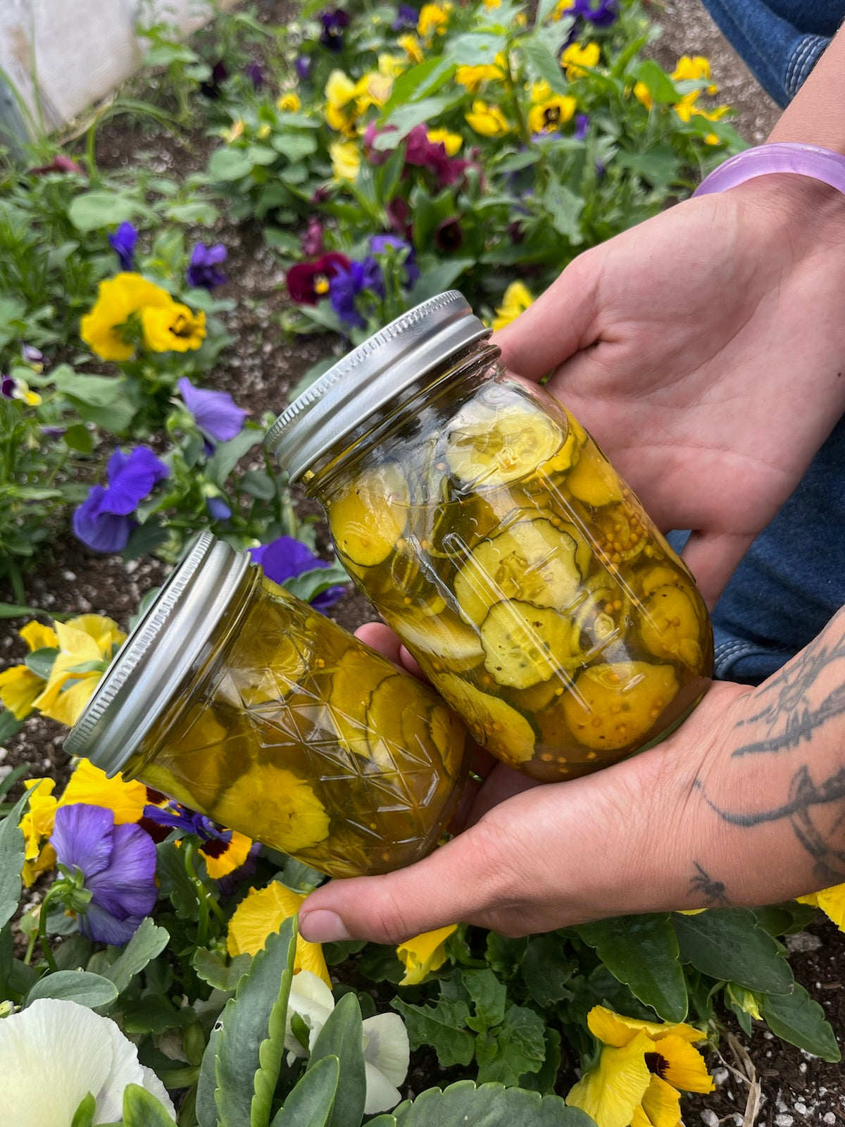 Bread and Butter Pickled Cucumber