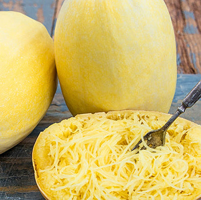 Spaghetti Squash